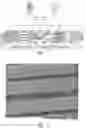 Fig. 02 - Polymers for additive manufacturing