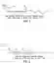 Fig. 02 - Homogeneous sheet excluding polyvinyl chloride