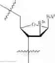 Fig. 167 - OLIGONUCLEOTIDE COMPOSITIONS AND METHODS OF USE THEREOF