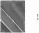 Fig. 167 - Silk performance apparel and products and methods of preparing the same