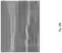Fig. 197 - Silk performance apparel and products and methods of preparing the same