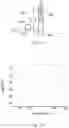 Fig. 20 - Systems and methods for managing noise in compact high speed and high force hydraulic actuators