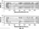 Fig. 16 - Beamform processing for sonic imaging using monopole and dipole sources
