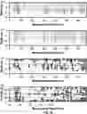 Fig. 17 - Beamform processing for sonic imaging using monopole and dipole sources