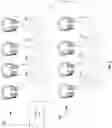 Fig. 08 - Audio device configured for daisy chaining