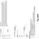 Fig. 320 - Data based cancer research and treatment systems and methods