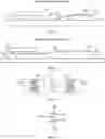 Fig. 02 - Optoelectronic Apparatus and Optoelectronic Integration Method