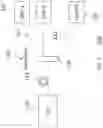 Fig. 02 - Using shortened codewords in passive optical networks