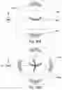 Fig. 29 - Multiplexed mutli-view scanning aerial cameras