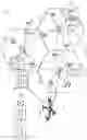 Fig. 02 - TIME-DIVISION MULTIPLE ACCESS (TDMA)-BASED BAND RESERVATION
