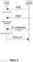 Fig. 07 - WIRELESS COMMUNICATION METHOD AND USER EQUIPMENT FOR UL PRACH TRANSMISSION