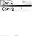 Fig. 07 - Plant Endophytic Bacteria And Methods To Control Plant Pathogens And Pests