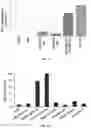 Fig. 09 - METHODS AND COMPOSITIONS FOR TREATING DISEASES ASSOCIATED WITH SENESCENCE