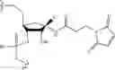 Fig. 331 - POLYHYDROXYLATED CYCLOPENTANE DERIVATIVES AND METHODS OF USE