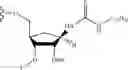 Fig. 489 - POLYHYDROXYLATED CYCLOPENTANE DERIVATIVES AND METHODS OF USE