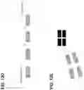 Fig. 38 - ANTIGEN BINDING POLYPEPTIDES, ANTIGEN BINDING POLYPEPTIDE COMPLEXES AND METHODS OF USE THEREOF