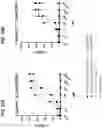 Fig. 51 - ANTIGEN BINDING POLYPEPTIDES, ANTIGEN BINDING POLYPEPTIDE COMPLEXES AND METHODS OF USE THEREOF