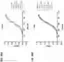 Fig. 77 - ANTIGEN BINDING POLYPEPTIDES, ANTIGEN BINDING POLYPEPTIDE COMPLEXES AND METHODS OF USE THEREOF