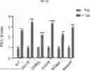 Fig. 04 - COMPOSITION FOR PREVENTING OR TREATING ALZHEIMER'S DISEASE COMPRISING INHIBITOR OF ATLASTIN 2, AND METHOD FOR DIAGNOSING ALZHEIMER'S DISEASE BY DETERMINING ATLASTIN 2