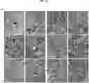 Fig. 13 - COMPOSITION FOR PREVENTING OR TREATING ALZHEIMER'S DISEASE COMPRISING INHIBITOR OF ATLASTIN 2, AND METHOD FOR DIAGNOSING ALZHEIMER'S DISEASE BY DETERMINING ATLASTIN 2