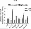 Fig. 17 - COMPOSITION FOR PREVENTING OR TREATING ALZHEIMER'S DISEASE COMPRISING INHIBITOR OF ATLASTIN 2, AND METHOD FOR DIAGNOSING ALZHEIMER'S DISEASE BY DETERMINING ATLASTIN 2