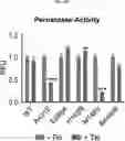 Fig. 19 - COMPOSITION FOR PREVENTING OR TREATING ALZHEIMER'S DISEASE COMPRISING INHIBITOR OF ATLASTIN 2, AND METHOD FOR DIAGNOSING ALZHEIMER'S DISEASE BY DETERMINING ATLASTIN 2