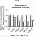 Fig. 20 - COMPOSITION FOR PREVENTING OR TREATING ALZHEIMER'S DISEASE COMPRISING INHIBITOR OF ATLASTIN 2, AND METHOD FOR DIAGNOSING ALZHEIMER'S DISEASE BY DETERMINING ATLASTIN 2