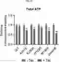 Fig. 21 - COMPOSITION FOR PREVENTING OR TREATING ALZHEIMER'S DISEASE COMPRISING INHIBITOR OF ATLASTIN 2, AND METHOD FOR DIAGNOSING ALZHEIMER'S DISEASE BY DETERMINING ATLASTIN 2