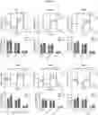 Fig. 23 - COMPOSITION FOR PREVENTING OR TREATING ALZHEIMER'S DISEASE COMPRISING INHIBITOR OF ATLASTIN 2, AND METHOD FOR DIAGNOSING ALZHEIMER'S DISEASE BY DETERMINING ATLASTIN 2