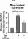 Fig. 35 - COMPOSITION FOR PREVENTING OR TREATING ALZHEIMER'S DISEASE COMPRISING INHIBITOR OF ATLASTIN 2, AND METHOD FOR DIAGNOSING ALZHEIMER'S DISEASE BY DETERMINING ATLASTIN 2