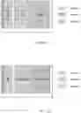 Fig. 13 - SIDELINK ROBUSTNESS ENHANCEMENT FOR MULTI-TRP UE