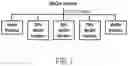 Fig. 09 - PROCESS FOR THE REMOVAL AND RECOVERY OF HESPERALOE EXTRACTIVES