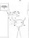 Fig. 01 - Incontinence therapy