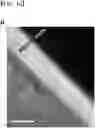 Fig. 05 - MXene electrode for electronic devices having excellent oxidation stability and flexibility and method of manufacturing the same electrode