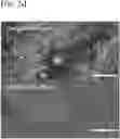 Fig. 06 - MXene electrode for electronic devices having excellent oxidation stability and flexibility and method of manufacturing the same electrode