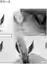 Fig. 09 - MXene electrode for electronic devices having excellent oxidation stability and flexibility and method of manufacturing the same electrode