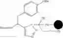 Fig. 167 - YAP1 inhibitors that target the interaction of YAP1 with OCT4