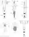 Fig. 02 - Mechanical broadhead with adjustable expansion and related methods