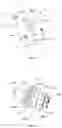 Fig. 19 - APPARATUS AND METHOD FOR DOSAGING POWDERED OR GRANULATED MATERIAL