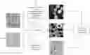Fig. 01 - METHOD FOR ANALYZING IMMUNOHISTOCHEMISTRY IMAGES