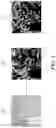 Fig. 04 - METHOD FOR ANALYZING IMMUNOHISTOCHEMISTRY IMAGES