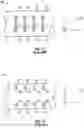Fig. 07 - Electromagnetic tool using slotted point dipole antennas