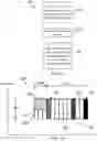 Fig. 10 - TRANSMISSION OF REVERSE-LINK GRANTS FOR ANCHOR BASED SIDELINK COMMUNICATION