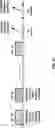 Fig. 22 - URLLC in unlicensed bands