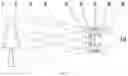 Fig. 02 - SMART WEARABLE DEVICE FOR VISION ENHANCEMENT AND METHOD FOR REALIZING STEREOSCOPIC VISION TRANSPOSITION