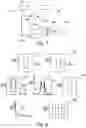 Fig. 04 - CORRECTION OF A HALO IN A DIGITAL IMAGE AND DEVICE FOR IMPLEMENTING SAID CORRECTION