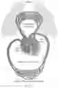 Fig. 02 - BIOMETRIC ACTIVITY BASED PAIRING PROTOCOLS FOR WEARABLE DEVICES