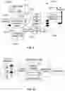 Fig. 09 - APPARATUS AND METHODS FOR WIRELESS DATA COMMUNICATION USING SPECTRUM WHITE SPACES