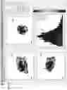 Fig. 07 - T-sensitive inversion-recovery imaging for EPROI