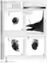 Fig. 08 - T-sensitive inversion-recovery imaging for EPROI